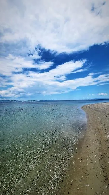 Seassy'S Beachfront Apt N Potidea Apartment Nea Poteidaia Greece